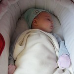 DSC00178